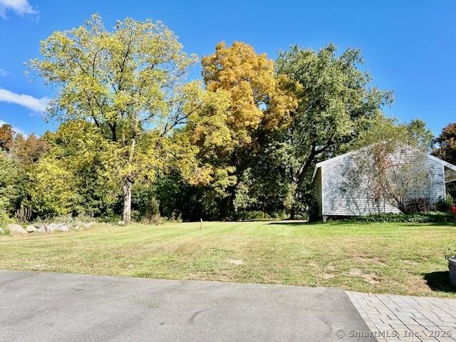 view of green lawn