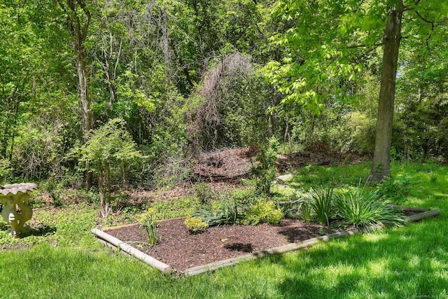 24 Richards Ln, Norwalk, CT 06851 - view of yard featuring a forest view
