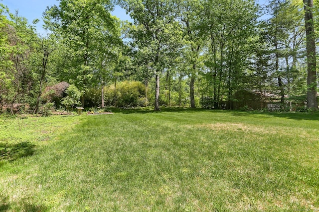 24 Richards Ln, Norwalk, CT 06851 - view of green lawn