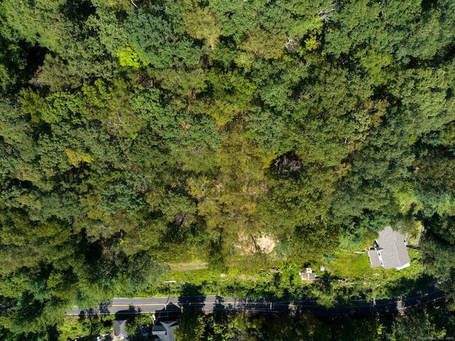 24 Calhoun St, Washington, CT 06794 - aerial view