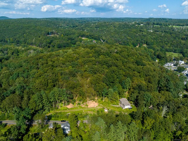 24 Calhoun St, Washington, CT 06794 - view of property location with a forest