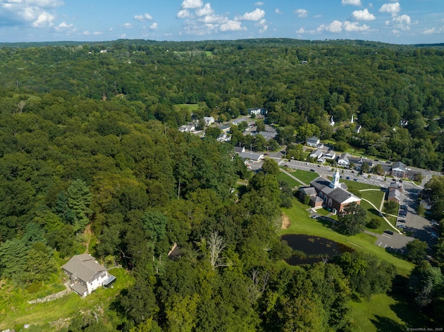 24 Calhoun St, Washington, CT 06794 - view of property location with a forest and nearby suburban area