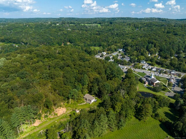 24 Calhoun St, Washington, CT 06794 - aerial overview of property's location with a forest