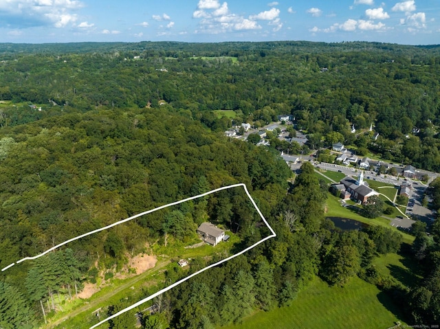 24 Calhoun St, Washington, CT 06794 - aerial view of property and surrounding area with a heavily wooded area and property boundaries highlighted