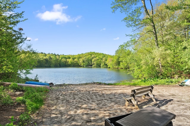 1 Penwood Rd, Bloomfield, CT 06002 - water view with a heavily wooded area