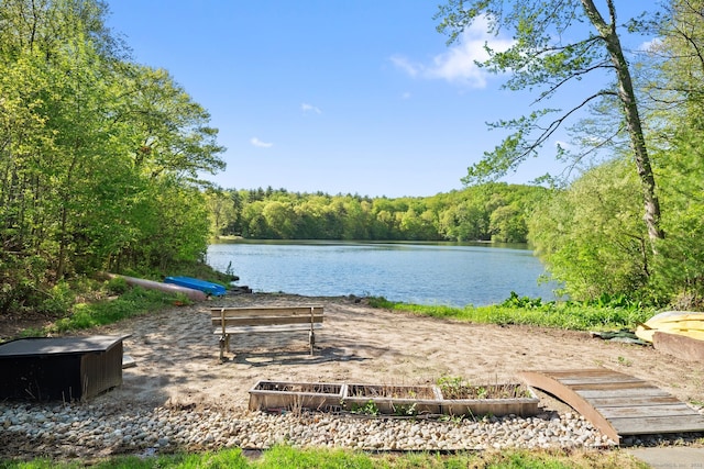 1 Penwood Rd, Bloomfield, CT 06002 - water view with a heavily wooded area