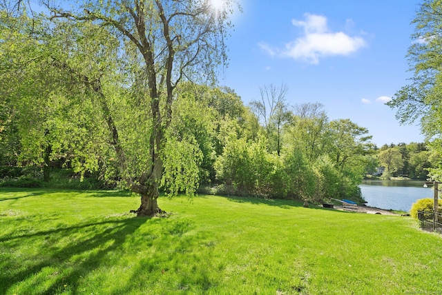1 Penwood Rd, Bloomfield, CT 06002 - view of green lawn with a water view