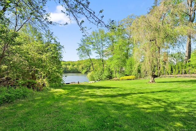 1 Penwood Rd, Bloomfield, CT 06002 - view of green lawn with a water view