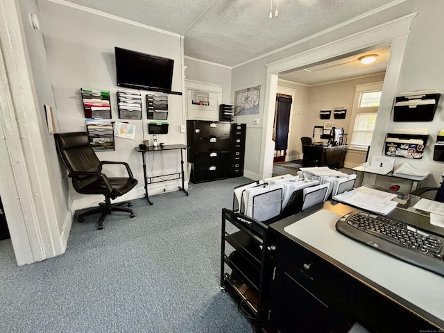 546 Washington Ave, West Haven, CT 06516 - office space featuring carpet, crown molding, a textured ceiling, and baseboards