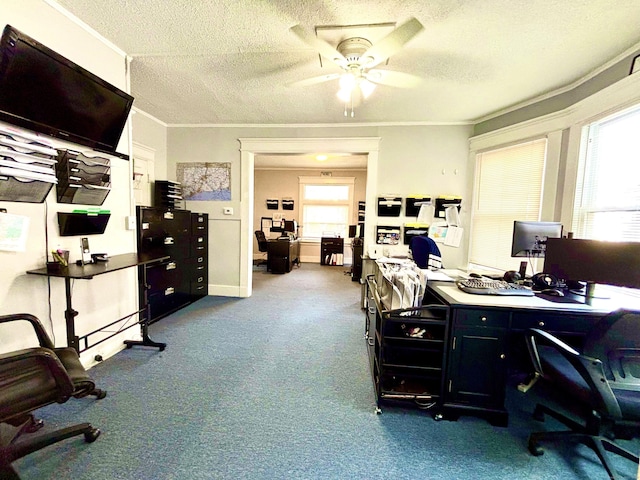 546 Washington Ave, West Haven, CT 06516 - carpeted office space featuring ceiling fan, a textured ceiling, and ornamental molding