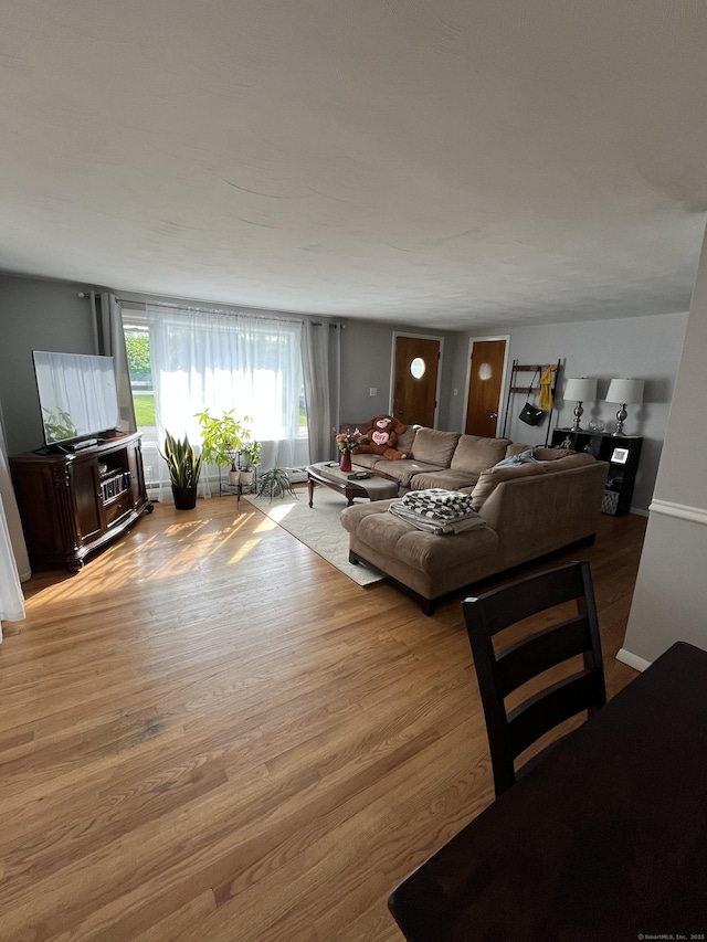 living area with wood finished floors
