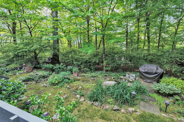 123 Old Belden Hill Rd Apt 41, Norwalk, CT 06850 - view of yard