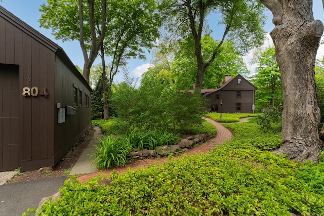 804 Forest Rd, North Branford, CT 06472 - view of yard