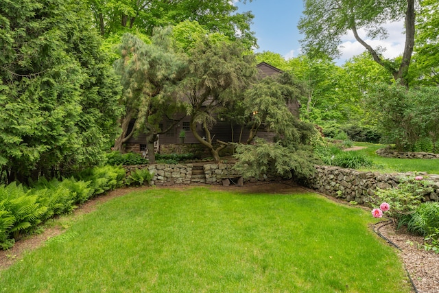 804 Forest Rd, North Branford, CT 06472 - view of green lawn