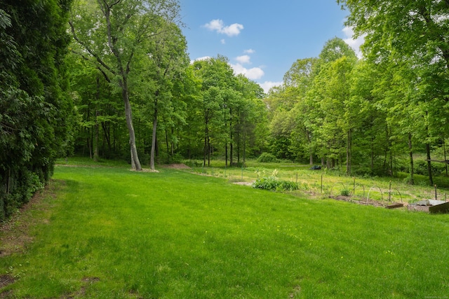 804 Forest Rd, North Branford, CT 06472 - view of green lawn featuring a garden and a forest view