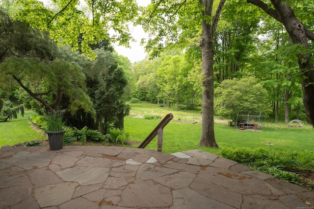 804 Forest Rd, North Branford, CT 06472 - view of patio / terrace with a view of trees