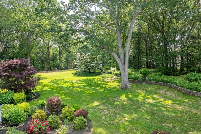 46 Bayberry Ln, Easton, CT 06612 - photo 25