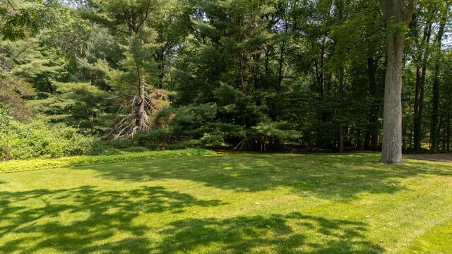 46 Bayberry Ln, Easton, CT 06612 - photo 32