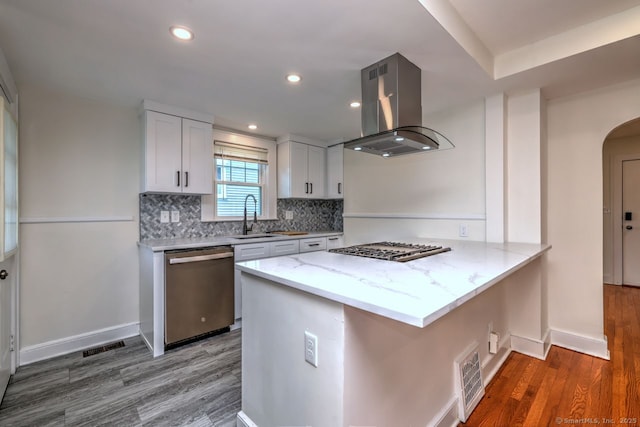kitchen with stainless steel appliances, island range hood, a sink, wood finished floors, and recessed lighting