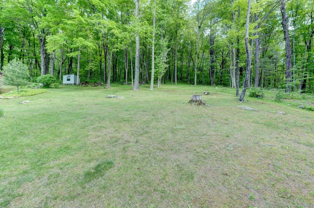 7 Parker Rd, Willington, CT 06279 - view of grassy yard featuring a view of trees