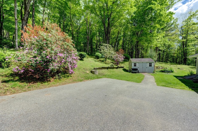 7 Parker Rd, Willington, CT 06279 - view of green lawn with a forest view