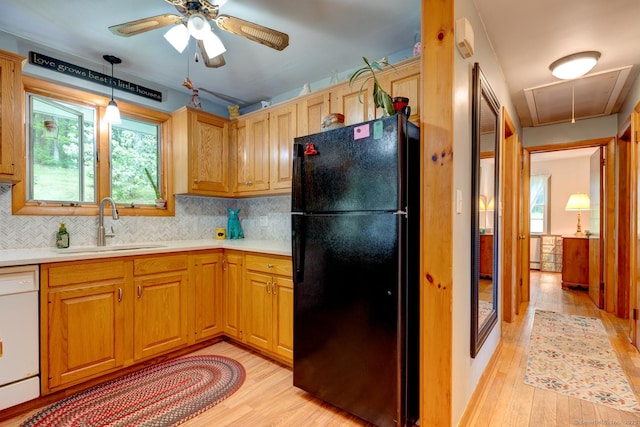7 Parker Rd, Willington, CT 06279 - kitchen with freestanding refrigerator, white dishwasher, light wood-type flooring, a sink, and a ceiling fan