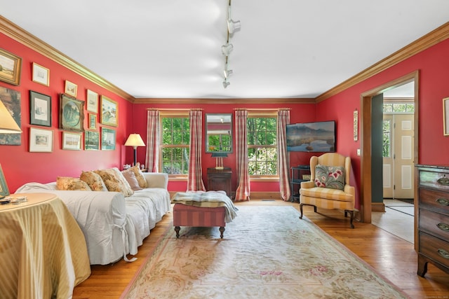 6 Galilee Way, Newtown, CT 06470 - living area featuring plenty of natural light, wood finished floors, crown molding, and track lighting