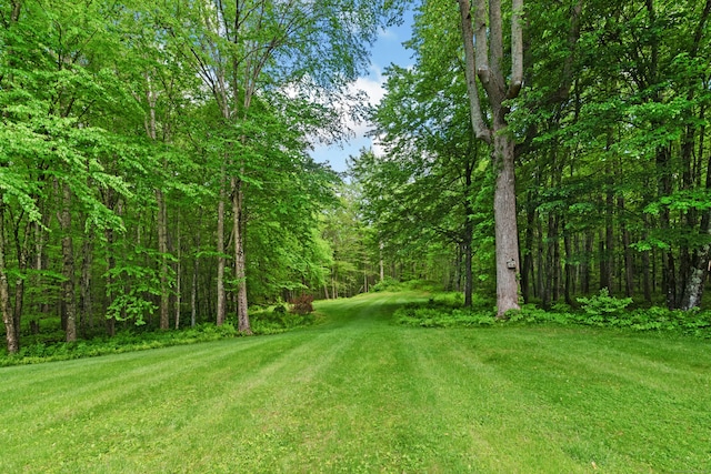 6 Galilee Way, Newtown, CT 06470 - view of yard with a forest view