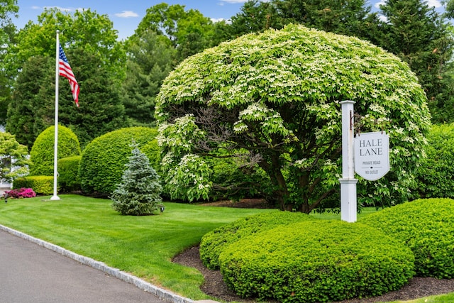 44 Hale Ln, Darien, CT 06820 - exterior view
