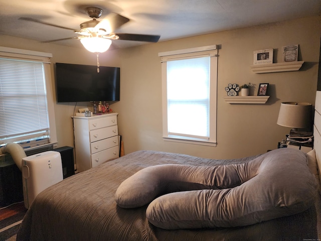12 Flyers Dr, Norwich, CT 06360 - bedroom featuring multiple windows and a ceiling fan