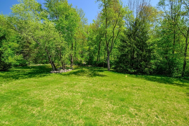 view of grassy yard featuring a view of trees