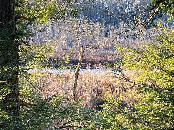 40 Pond Ridge Rd, Goshen, CT 06756 - photo 3
