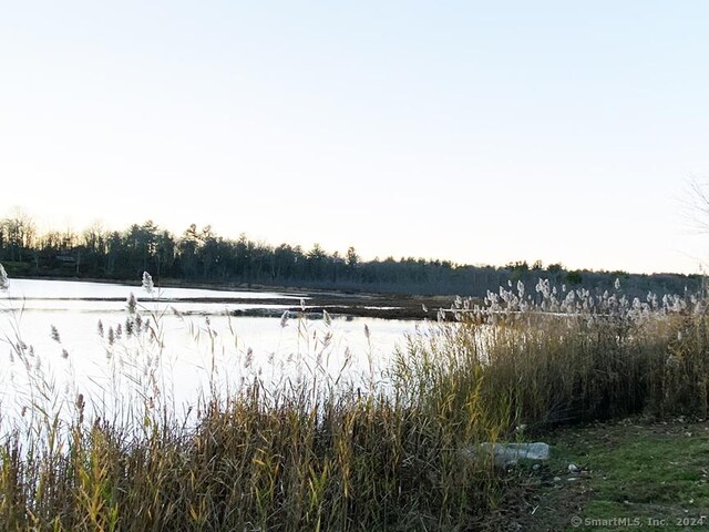 40 Pond Ridge Rd, Goshen, CT 06756 - photo 4