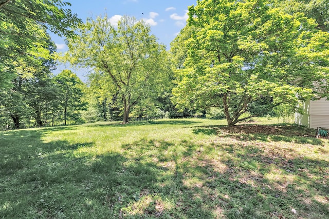 13 Hoyt Rd, Bethel, CT 06801 - view of grassy yard