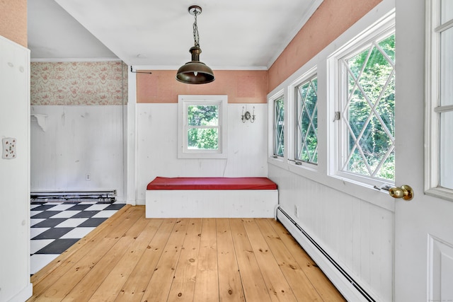 13 Hoyt Rd, Bethel, CT 06801 - unfurnished sunroom with a baseboard heating unit and a baseboard radiator