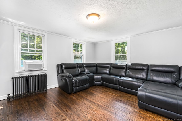 17 Emily Rd, East Windsor, CT 06016 - living area featuring radiator heating unit, wood finished floors, a textured ceiling, crown molding, and baseboards