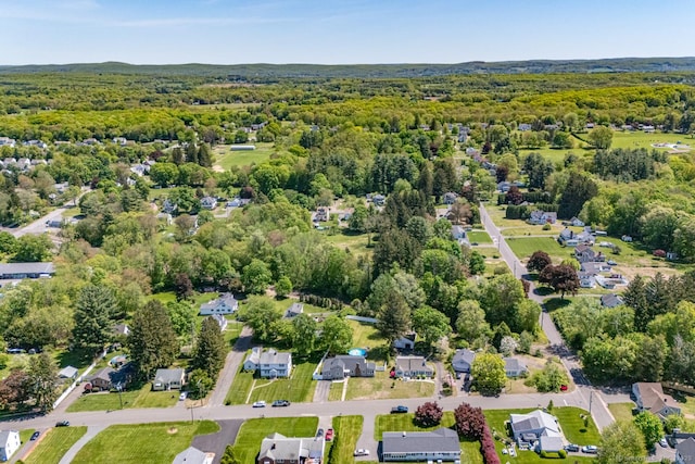 17 Emily Rd, East Windsor, CT 06016 - bird's eye view of a heavily wooded area