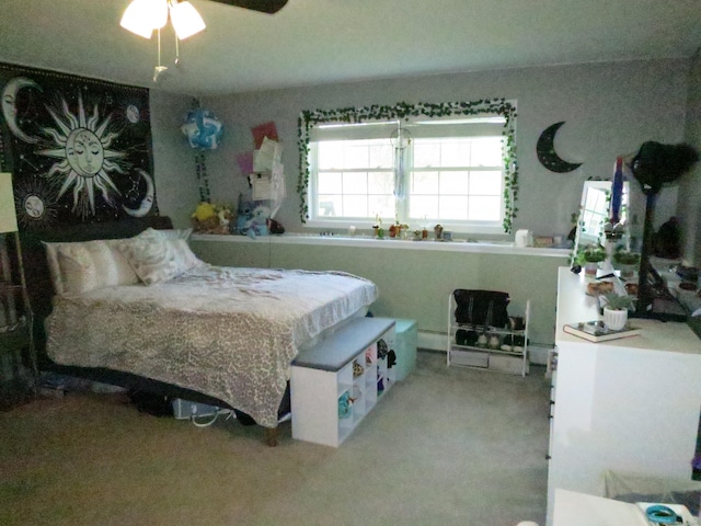23 Hell Hollow Rd, Sterling, CT 06384 - view of carpeted bedroom