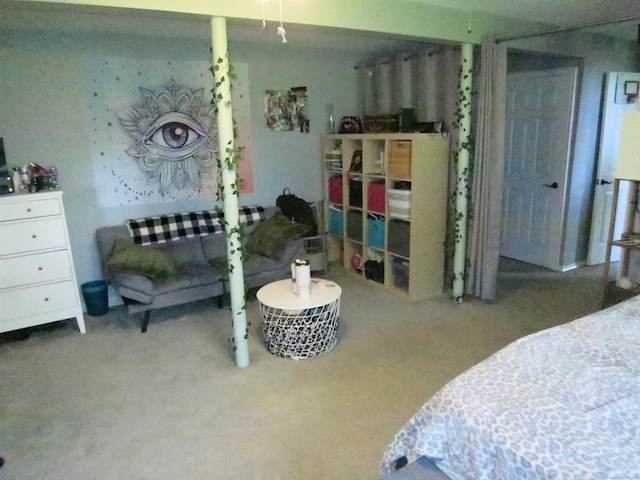 23 Hell Hollow Rd, Sterling, CT 06384 - view of carpeted bedroom