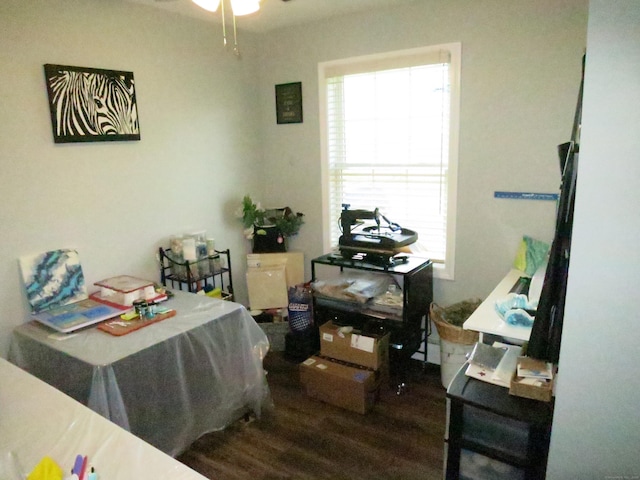 23 Hell Hollow Rd, Sterling, CT 06384 - office area featuring wood finished floors and ceiling fan