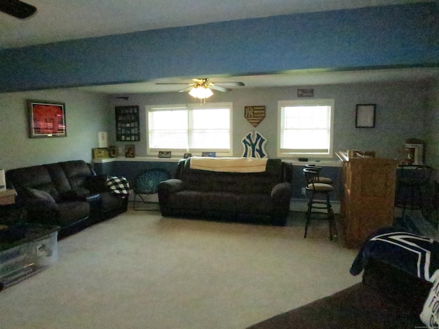 23 Hell Hollow Rd, Sterling, CT 06384 - living area featuring ceiling fan, plenty of natural light, and carpet
