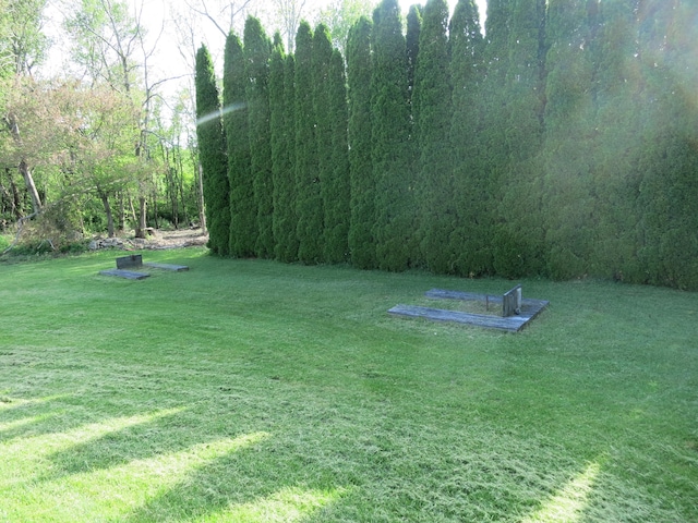 23 Hell Hollow Rd, Sterling, CT 06384 - view of green lawn with a wooded view