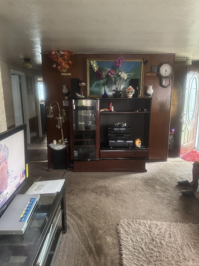 57 Britt Rd, East Hartford, CT 06118 - living room featuring carpet floors and plenty of natural light