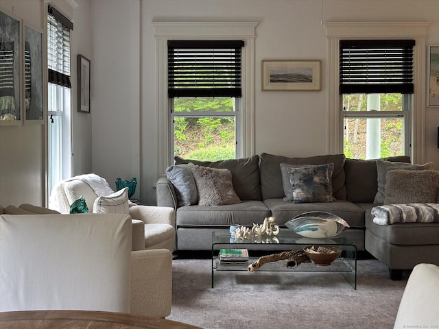 5 New Street Ext, Wilton, CT 06897 - view of carpeted living room