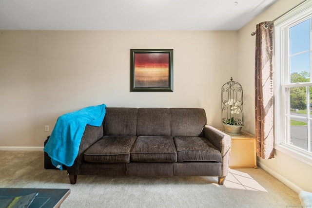 living area with carpet and baseboards