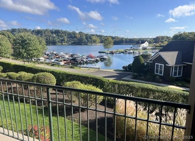 16 Hayestown Rd Unit C204, Danbury, CT 06811 - water view featuring a boat dock