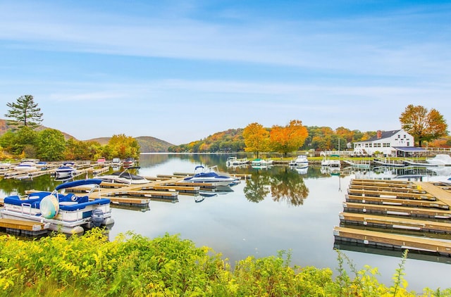 16 Hayestown Rd Unit C204, Danbury, CT 06811 - dock with a water view