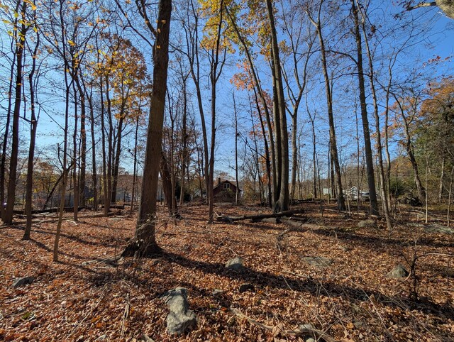 Spring Rd, Coventry, CT 06238