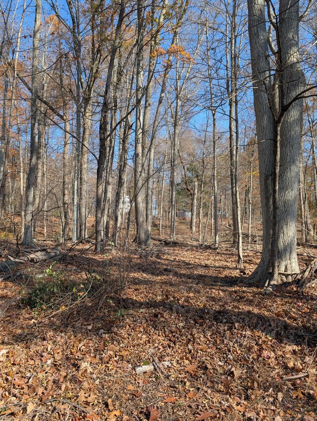 Spring Rd, Coventry, CT 06238