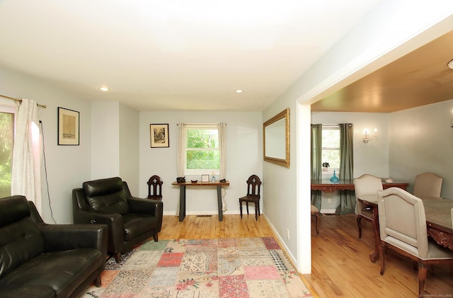 113 Codfish Hill Rd, Bethel, CT 06801 - living area featuring light wood-style flooring, baseboards, and recessed lighting